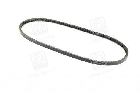 Клиновий ремінь VKMV 13AVX1050 SKF VKMV13AVx1050