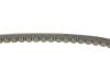 Ремень генератора Mitsubishi Pajero 2.3/2.5TD 82-00 (13x785) Contitech AVX 13X785 (фото 2)