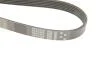 Ремінь генератора Opel Astra 1.7CDTI/Passat B6 3.2FSI 05-10 Gates 6PK1623 (фото 4)