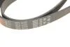 Поликлиновой ремень Gates 6PK2005 (фото 5)