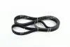 Ремінь привідний HYUNDAI MOBIS 252123C100 (фото 3)