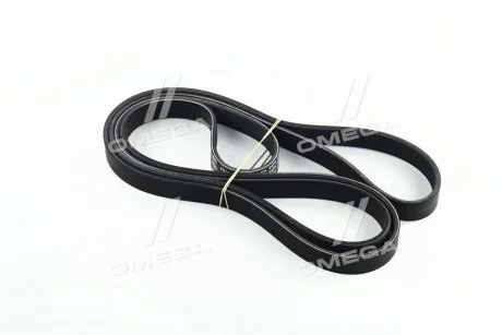 Ремінь привідний HYUNDAI MOBIS 252123C100