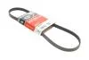 Ремень генератора Peugeot Expert/Citroen Jumpy/Renault Kangoo 1.0-3.5 88- 4PK905