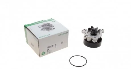 Насос системи охолодження INA 538 0548 10