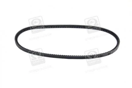 Пас привідний з довжиною кола понад 60см, але не більш як 180см DAYCO 10A0865C