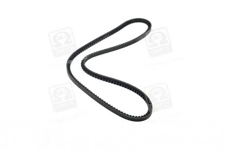 Ремінь генератора TRANSIT/DAILY II 1.5-2.5 55-96 DAYCO 10A1070C