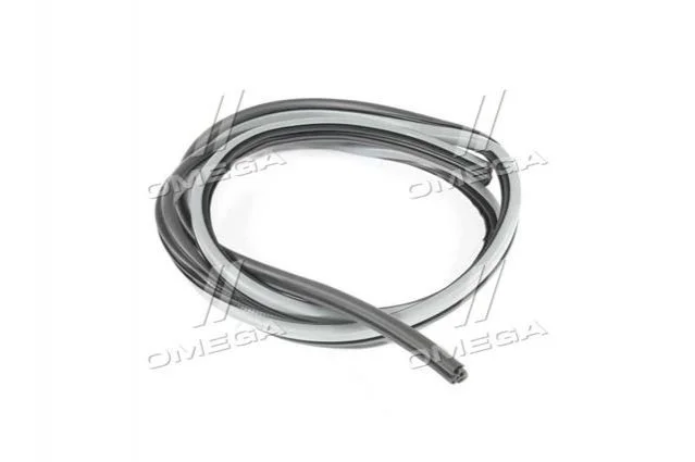 Ущільнювач дверей LACETTI GM 96615176 (фото 1)