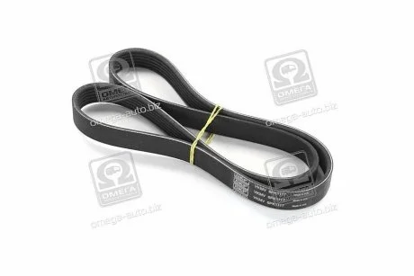 Полікліновий ремінь VKMV 6PK1117 SKF VKMV6PK1117