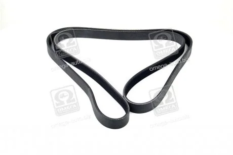 Фото 1 - ремень поликлин. SKF VKMV6PK1795 Ремень поликлин. SKF VKMV6PK1795 (фото 1)