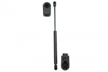 Амортизатор кришки багажника VW Passat 1.4-2.0 TSI/TDI 05-10 (GS0895) MAGNETI MARELLI 430719089500