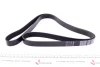Ремень генератора Honda Accord VIII 2.0 I 08-/ Land Rover Range Rover II 3.9-4.6 94-02 DAYCO 7PK2081 (фото 3)