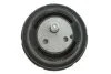 Подушка двигуна BMW 5 (E39) 520/528i 95-03 FEBI BILSTEIN 10142 (фото 3)