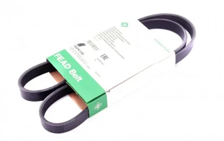 Ремінь генератора Renault Kangoo 1.5dCi/Master/Opel Movan 2.5D/2.8DTI 98-01 INA FB 5PK1200