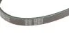 Ремень поликлиновой 4PK875 MEYLE 050 004 0875 (фото 4)