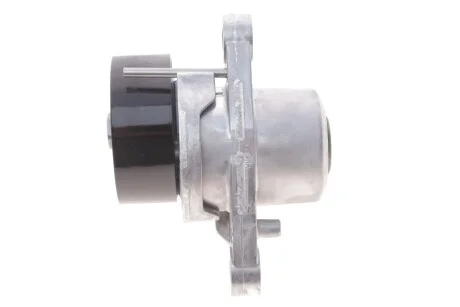 Натяжник ременя генератора Citroen Berlingo/Peugeot Partner 1.6 BlueHDi 14- DAYCO APV3861