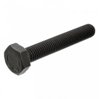 Болт колінвалу VW Golf/ Jetta/ Passat/ Polo (M10) FEBI BILSTEIN 18160