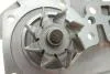 Помпа води Renault Kangoo/Megane/Logan/Scenic/Dacia Sandero 1.4/1.6 97- (20z)(B/B)(8лоп) GRAF PA1035 (фото 6)