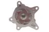 Помпа води Hyundai Accent/Elantra/i20/i30/i40/ix20/Tucson/Kia Ceed/Sportage 1.4/1.6 10- (R/B)(6 лоп) GRAF PA1136 (фото 3)