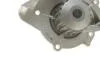 Помпа води Citroen C4-C8/Jumpy 2.0-2.2HDi/Fiat Scudo 2.0D/Ford Focus 2.0TDCI 01- (19z)(B/B)(8лоп) GRAF PA861 (фото 5)