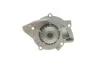 Помпа води Citroen C4-C8/Jumpy 2.0-2.2HDi/Fiat Scudo 2.0D/Ford Focus 2.0TDCI 01- (19z)(B/B)(8лоп) GRAF PA861 (фото 6)