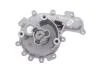 Помпа води Citroen Jumper/Peugeot Boxer 2.2HDI/Fiat Ducato 2.2D/Ford Transit 2.2TDCi 06-(B/B)(5 лоп) GRAF PA996 (фото 5)