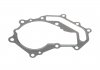 Помпа води Renault Master/Opel Movano 3.0 dCi/DTI 03-, 100kw, ZD3 INA 538 0384 10 (фото 9)