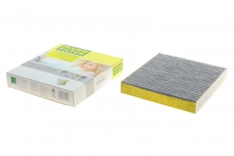 Фільтр салону Renault Clio/Dacia Logan 12- (вугільний) (антибактеріальний) MANN FP 22011