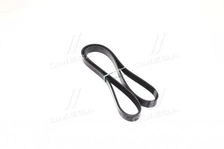 Ремень поликлиновой DAYCO 5PK1120