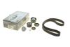 Комплект ГРМ Renault Kangoo/Dacia Logan/Sandero 1.4/1.6 16v 01- (K4M) HEPU 20-1917 (фото 1)