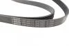 Ремінь генератора Hyundai Santa Fe 12-15/Jeep Patriot 2.4 08- (6PK2550) BOSCH 1987945717 (фото 3)