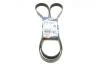 Ремінь генератора Ford Connect 1.8 TDCI 02-13 (6PK1720) BOSCH 1987946295 (фото 1)
