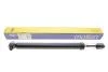 Амортизатор MAGNETI MARELLI 351746079000 (фото 1)