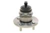 Подшипник ступицы (задней) Hyundai Accent III/Kia Rio II 1.0-1.6 02- SNR NTN R184.18 (фото 6)