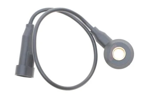 Датчик детонації Delphi AS10134-12B1