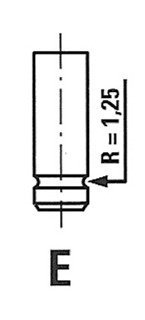 Клапан Lanos 1,4 FRECCIA R6095/RCR (фото 1)
