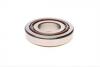 Подшипник КПП (25x55x13.75) SNR NTN EC42192YS02H206 (фото 3)