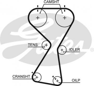 Пас ГРМ з довжиною кола понад 60 см, але не більш як 150см Gates 5534XS
