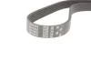 Ремінь генератора VW Golf/Skoda Octavia 2.0i 04-13/Mazda 2/3 1.5 13-/Kia Ceed/Cerato 1.4/1.6 07- Gates 6PK955 (фото 2)