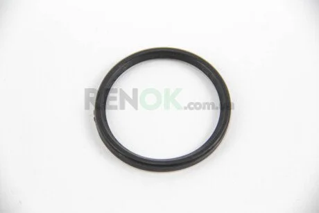Кільце ущільнювальне патрубка інтеркулера Megane III/IV 1.5dCi 08- RENAULT 7701071148 (фото 1)