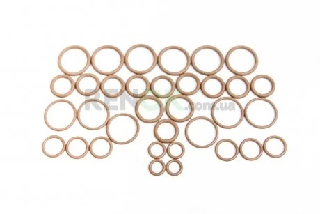 Сальники кондиціонера Megane III/Master III/Trafic III 09- (к-кт) RENAULT 924750001R