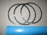 Кільця поршневі KOLBENSCHMIDT 800072510000 (фото 2)