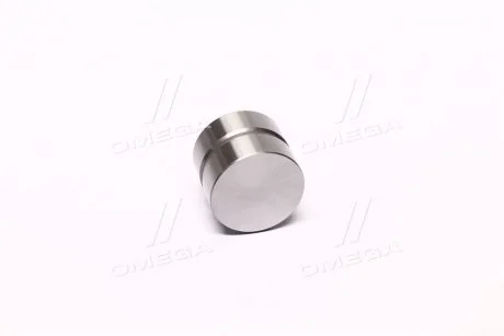 Гідрокомпенсатор HYUNDAI/KIA TB/TL/T8D/A5D/B5D/TP/TE (вир-во PMC-ESSENCE) PARTS-MALL HCETB-017