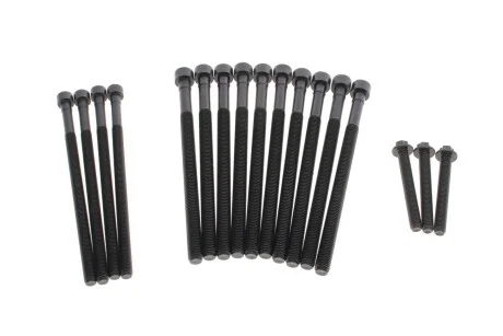 Болты головки (к-кт 10шт.) BMW X5 (F15/F85)/X6 (E71/E72) 07- N55 ELRING 459.450