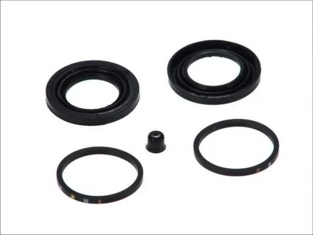 Елементи гальмівного супорта (РМК суппорта без поршня) (SEIN) AUTOFREN D4 596