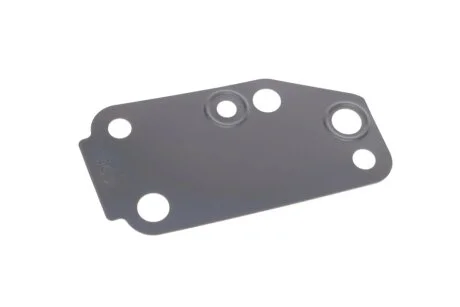 Прокладка насоса воды Ford Transit 2.4 TDCI 00-06 ELRING 030.671