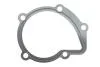 Прокладка помпи води Citroen/Fiat/Hyundai/Lada/Suzuki 1.6-2.0D 82- ELRING 754.044 (фото 1)