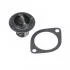 Термостат HYUNDAI (пр-во Blue Print) BLUE PRINT ADG09205 (фото 1)