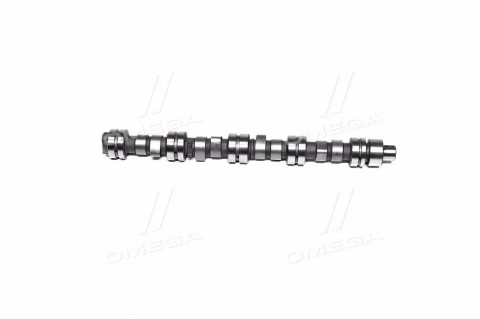 Вал розподільний CHERY AMULET RIDER RD.480EEBJ1006015 (фото 1)