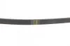 Ремінь генератора Renault Kangoo/Clio 1.2i 97-/Fiat Scudo 1.6i 96-06/Nissan Kubistar 1.2 03- (4PK905) BOSCH 1987947899 (фото 2)