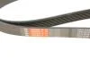 Ремінь Gates 7PK1645 (фото 4)